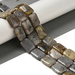 Natürliche Bambus-Blatt-Achat Perlen Stränge&nbsp;G-NH0014-E01-01