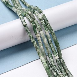 Natürliche grüne Fleck Jaspis Perlen Stränge&nbsp;G-D464-14