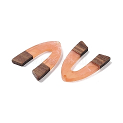 Pendentifs en résine & en bois&nbsp;WOOD-F015-16E