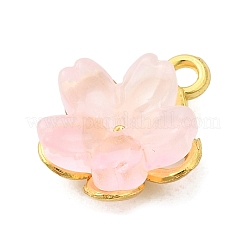 Legierung Glas Anhänger / charms&nbsp;FIND-C079-05G-01