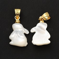 Natürliche weiße Muschel Anhänger&nbsp;SHEL-G014-13B