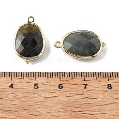 Natürlicher Labradorit facettiert ovaler Verbindungsanhänger&nbsp;G-H323-02G-09