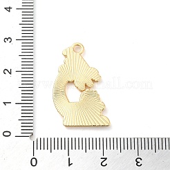 Emaille Anhänger Legierung&nbsp;ENAM-R146-03C