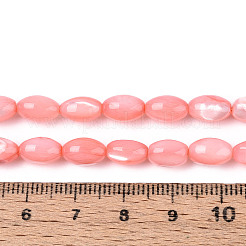 Hebras de cuentas de concha de trochus natural&nbsp;SHEL-K006-19-01E