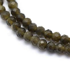Filo di perle di ossidiana con riflessi dorati naturali&nbsp;G-E411-34-3mm