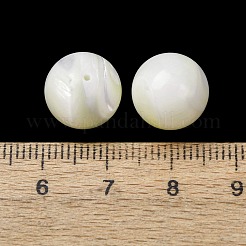 Natürliche Trochidschale / Trochusschalenperlen&nbsp;SH-CBA2978-22
