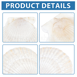 Zubehör für die natürliche Muschelmalerei&nbsp;DIY-WH0225-95