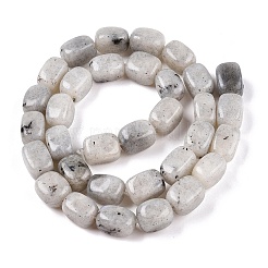Natur Labradorit Perlen Stränge&nbsp;G-T138-85