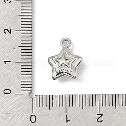 Anhänger aus 304 Edelstahl&nbsp;STAS-F327-03C-P