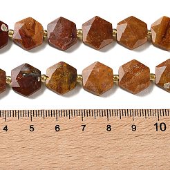 Natürliche versteinerte Holzperlen Stränge&nbsp;G-H344-B03-01