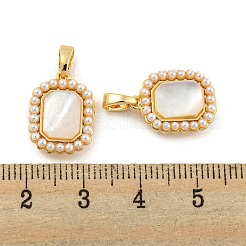 Muschelanhänger aus Messing mit Pavé-Fassung&nbsp;KK-G490-43G