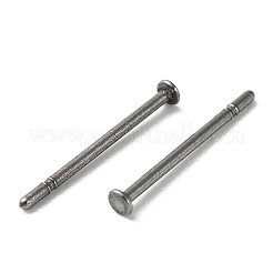 Zubehörse zu Titan-Ohrsteckern&nbsp;X-FIND-R096-02A-P