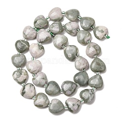 Natürliche Frieden Jade Perlen Stränge&nbsp;G-B022-31C-01