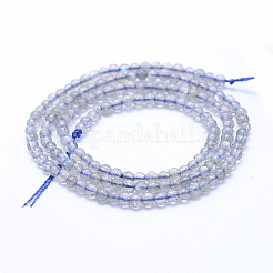 Perline labradorite naturale fili&nbsp;G-P342-09-3mm-AB+