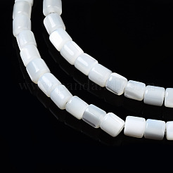 Natürliche Trochidschale / Trochusschalenperlenstränge&nbsp;SSHEL-N034-77-A01