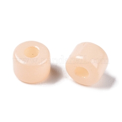 Opake Einbrennfarbe Glasperlen&nbsp;SEED-T008-02C