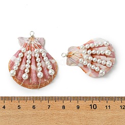 Anhänger aus natürlicher Jakobsmuschel&nbsp;PALLOY-TA00418