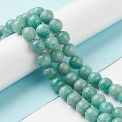 Fili di perline amazonite naturale&nbsp;G-F461-12-10mm-01