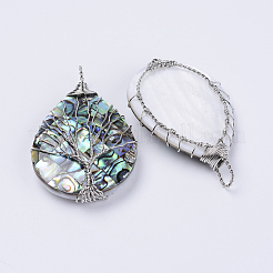 Abalone Shell / Paua Shell große Anhänger&nbsp;KK-P132-03P