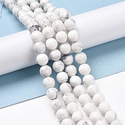 Fili di perline howlite naturale&nbsp;G-E571-29B
