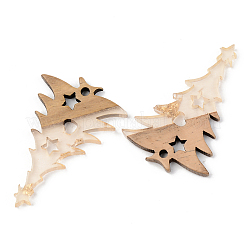 Pendentifs en résine transparente et bois de noyer&nbsp;RESI-S389-018A-B05
