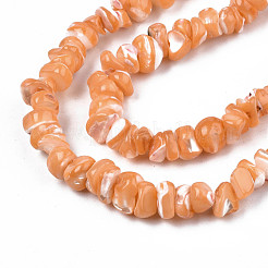 Naturali di acqua dolce perline shell fili&nbsp;SHEL-N003-23-B06