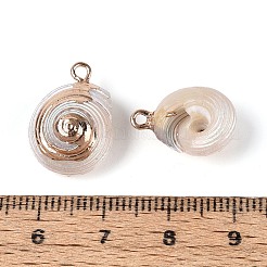 Galvanisierte natürliche Muschelanhänger&nbsp;BSHE-T015-13