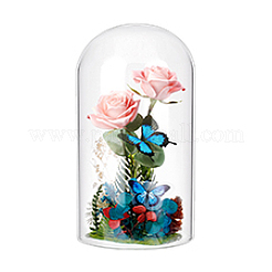 Cloche-Kuppelabdeckungen aus Glas&nbsp;GLAA-WH0057-07