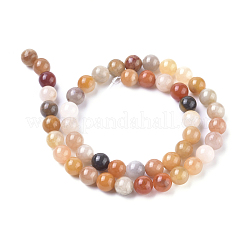 Brins de perles de jade en soie dorée naturelle&nbsp;G-L538-034-8mm