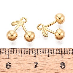 Dijes de acero inoxidable 304&nbsp;STAS-N108-48G
