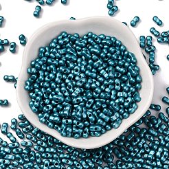 Perle di vetro per la cottura di vernici&nbsp;SEED-L011-12A-08