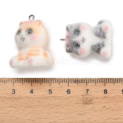 Pendentifs en résine opaque floqués&nbsp;FIND-E060-06