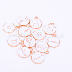 Emaille Anhänger Legierung&nbsp;ENAM-WH0047-50G-A