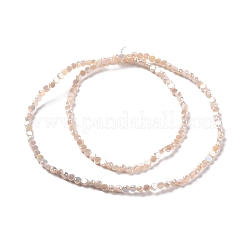 Abalorios de vidrio electroplate hebras&nbsp;GLAA-E036-04C