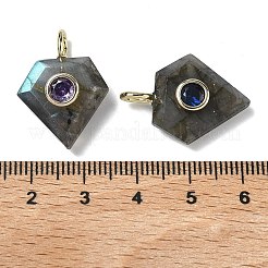 Anhänger aus natürlichem Labradorit mit Facettenschliff&nbsp;G-F819-03G-06
