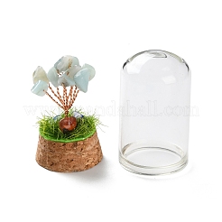 Chip di amazzonite naturale albero dei soldi in vasi di vetro a cupola con decorazioni espositive di base in legno&nbsp;DJEW-K030-02E