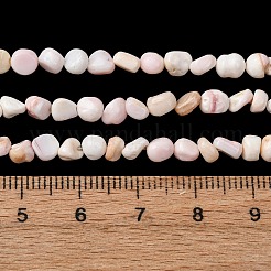 Natürlichen Muschelperlen Stränge&nbsp;SHEL-K006-76