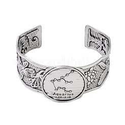 Bracelets à manchette ouverte en alliage constellation pour femmes et hommes&nbsp;LS-BJEW-C064-01AS-02