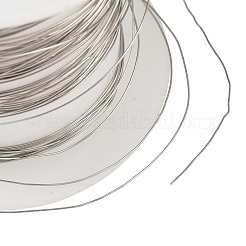 304 Edelstahldraht&nbsp;STAS-A115-01P-0.3mm