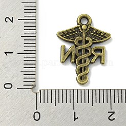 Tibetischer stil Aluminium Anhänger & Charms&nbsp;TIBE-I026-5976AB