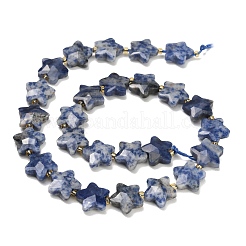 Fili di perline naturali a pois blu&nbsp;G-P573-C45-01