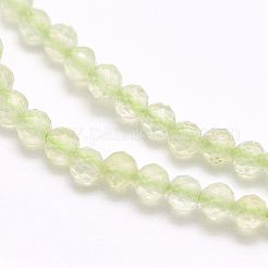 Perline Prehnite naturale fili&nbsp;G-F509-30-3mm