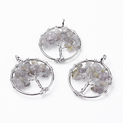 Pendentifs de labradorite naturelle&nbsp;X-G-E419-16P