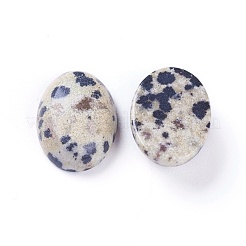 Dalmatiner Jaspis Natur Cabochons&nbsp;G-L511-E-02