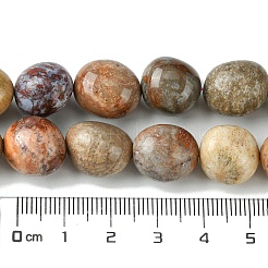Natürlichen fossilen Korallenperlen Stränge&nbsp;G-G117-A01-01