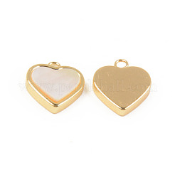 Natürliche weiße Muschel Perlmutt Muschel Charms&nbsp;SHEL-T017-23G