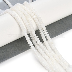 Naturali di acqua dolce perline shell fili&nbsp;BSHE-H109-15A