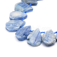Fili di perline naturali di cianite / cianite / quarzo distene&nbsp;G-E569-R03