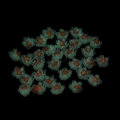 Cabochons décodés en résine lumineuse&nbsp;RESI-K036-06F-01