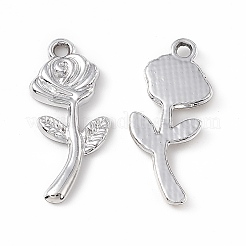 Aluminium Anhänger & Charms&nbsp;LS-PALLOY-K259-05P